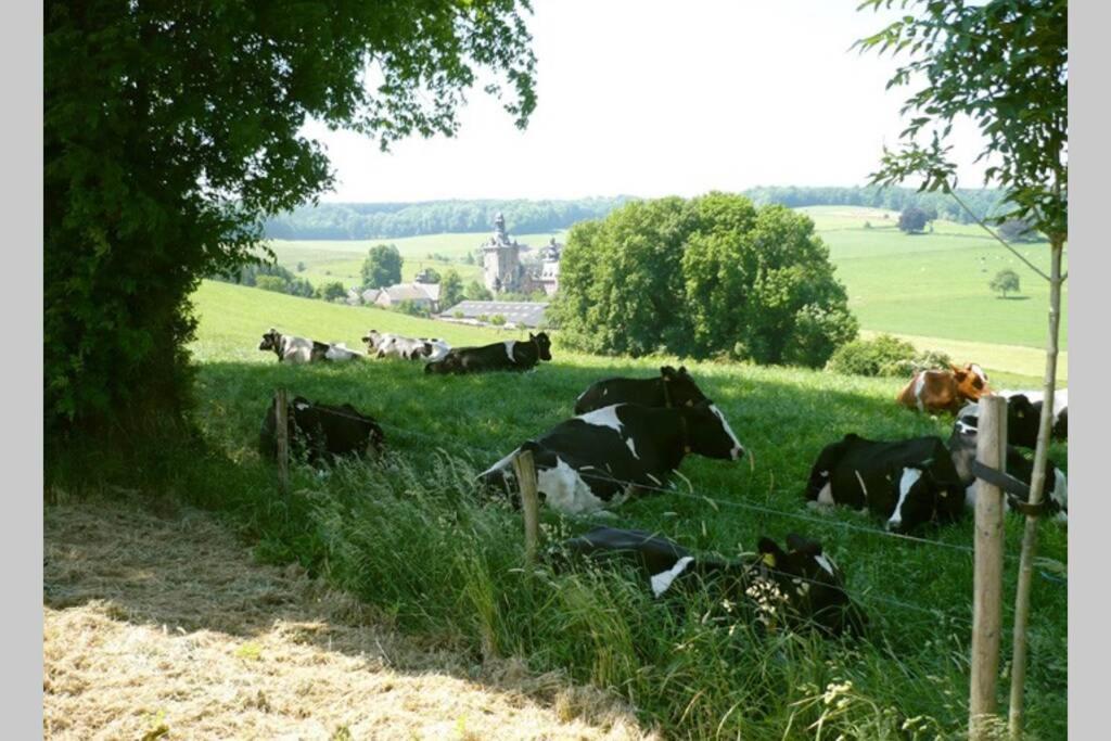 Hoeve Espewey Cottage Hombourg Eksteriør bilde